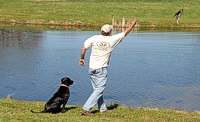 Braveheart Kennels - Water Training