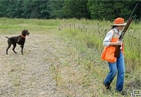A Southbound guest and her dog work a quail.