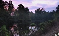 Sunrise over the pond.