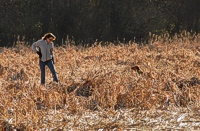 A handler kicks for the bird her junior Vizsla is pointing.