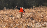 A handler signals the junior hunt test judges that her dog is on a point.