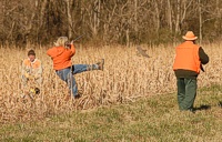 A handler kicks up a chukar partridge for the gunner.