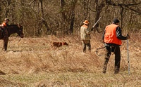 Ah, steadiness. A Vizsla's senior handler is able to take his time walking up to the flush because he's been able to trust that dog to hold her point for over 10 minutes.