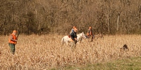 A handler softly cautions his shorthair, who has hit on a point while passing a bird to his side.