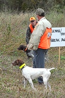 At the breakaway point for the senior/master course, two handlers have a word to make sure they're both ready, and that they know how they'll approach the field with their two young male charges.