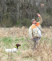 The handler is NOT waving to the crowd. He's just flushed a quail in front of Shelby (who is steady through the flush), and the bird came up right in Dan's face. Dan has actually just swatted at that quail like a mosquito.