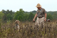 Well, that 19th-century Parker works, its owner can squarely hit a high-speed dove, and his joyous Wirehair was happy to go find it in the damp sunflower patch. Good girl!