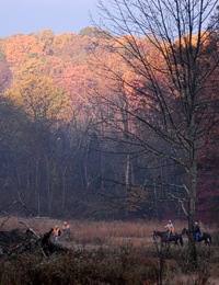 The rising sun hits the top of the trees as the first Junior Hunter brace makes its way through their back course. At over 200 yards, you can really appreciate why hunters wear blaze orange.