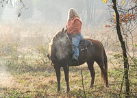 An apprentice judge and her mount have a moment's peace waiting for the first brace of dogs to come to the line.