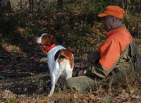 Senior braces can take half an hour to run. This Brittany and his handler are relaxing in the gallery area while they wait their turn.