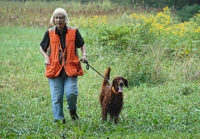 A handler and her very pleased Irish Setter head out to the Junior Hunter course.