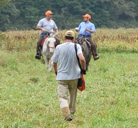 Having just observed a run by two dogs, the junior course's judges talk over their scoring as they ride back to the line to fall in behind the next brace. At the same time, the planter is walking out to the bird field with a bag of quail to replace those that were flushed up in the last round.