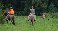 Working down the back course in a master brace. Handlers are required to carry a gun or suitable prop, which they will not shoot, but which they must pretend to shoot in the bird field. That's to make sure that swinging a gun up on a flush doesn't cause the dog to jump the bird - an expected sign of steadiness.
