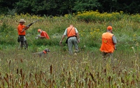 In a senior test, the backing dog can be physically collared while his bracemate works a retrieve. Here, a Weim's handler is crouching (below gunning level) and reinforcing his dog's honor while the other dog's handler moves to flush the pointing dog's chukar partridge for the gunners.