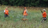 The Vizsla's handler is staying out in front of the dog's line of sight to help keep it staunch on the chukar it's pointing as the gunners move into position. Once everything's in place, she'll kick up the bird for the retrieve part of the test.