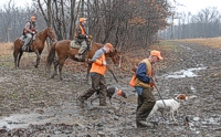 The first brace sets off on their Master run, with the morning's judges on horseback behind. The handlers are carrying shotguns, but only as props. Once they're in the bird field, they'll lift those guns as if shooting, while the gunners do the actual gunning. That's to make sure the dog's steady when a gun comes up.