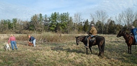 It's a beautiful spring morning, and this brace's two handlers are ready for the judges to say the word. This is a Derby Stake - the Vizsla and Pointer in this brace are both youngsters.