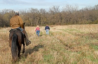 The judge is looking to see the dogs cast way out in front of the handlers and really work the field, hitting all the interesting cover along the way.