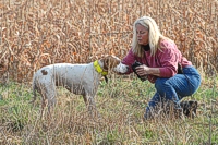 Slow down, there, cowboy! Dogs are still expected to encounter and work birds even as they run big to show their drive. Ask the judge if you can water your dog, and you'll almost always get a knowing approval.