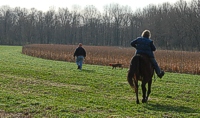 While there is a course to walk, with a beginning and an end, the dogs go where the dogs go. It's not unusual for the judges to break up, and each observe one dog if they range away from each other.