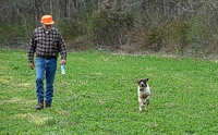 A Shorthair and his dad head out.