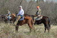 Getting ready to ride behind a brace in the Open Gun Dog stake.