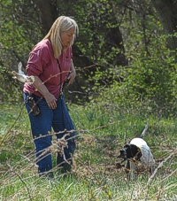 Quail: eyes on the treeline. Dog: eyes on the bird. Handler: eyes on the <I>dog</I>. Stella was steady while the flushed bird disappeared.