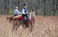 The Open Gun Dog judges pause their mounts in a stripe of sorghum to watch the brace work a treeline.