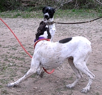 OK, you two. Save some of that for the Junior course!