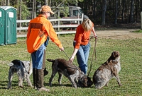 The hunt test grounds are a good socializing spot for owners and dogs alike. Much catching up and snoofling is accomplished between runs in the field.