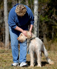 Nope, not checking for ticks - just getting some love. The tick check comes <I>after</I> the run in the field.