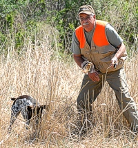 The Junior bird field. Taylor's locked on the cover where she pointed the quail, and Carl - blank gun at the ready - has kicked up the bird. Things happen fast!