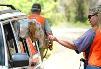 Hey, you - put that shaggy head back in the Jeep.