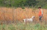 A little conversation on the retrieve.