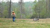 A relaxed handler lets her Spinone work in that relaxing Spinone way.