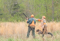 At the judges' discretion, a handler might be asked to grab and throw a non-flying (say, wet) bird for a flush. Alas, sometimes it's harder for the dog to stay steady once he's seen his master handle the bird.