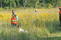 A Senior brace's handlers have followed their dogs to opposite corners of the bird field. The gunners have split up to follow them.