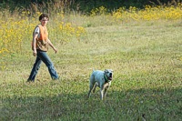 No wonder she's relaxed - she's got more than one dog running in the event.