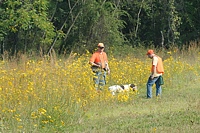 The bye-dog's handler (and his fine Wirehair) get their reward, and a just-shot Chukar is retrieved to hand. Good boy!