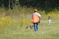 It IS the Junior course, so it's not unusual to see a pointing dog's bracemate come wandering in to see what's going on.