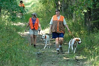 Another brace heads up the path to the Junior A course breakaway. Elsewhere on the grounds, the B course was running dogs, too.