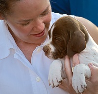 Pointer puppy, doing its job.