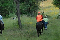 A handler walks up on her pointing dog, judges right behind her.