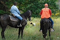 The mounted judges have a perfect view of this point.