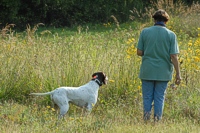 And the handler starts into the cover for the flush.