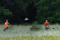 Very next point, it's another pheasant. The handler's watching his dog as the nearest gunner works on the bird.