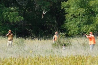 A classic hunt test gunning configuration. And no, nobody in the gallery caught any pellets.