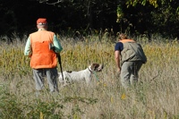 And a nice retrieve. Out of some thick cover, and right to hand.