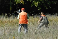 A chukar jumps up right in front of a handler and gunner.