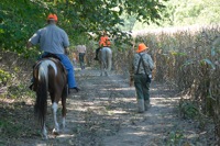 The junior test's back course takes the dogs along a woodline, past crop rows, and through lots of stimulating cover.